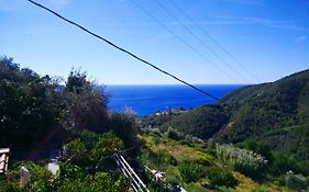 Villa Palima